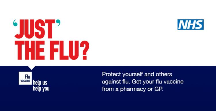 just the flu campaign 