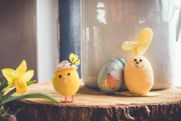 Daffodil, egg, cute chick, cute bunny