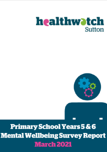 front cover of primary school mental health survey report